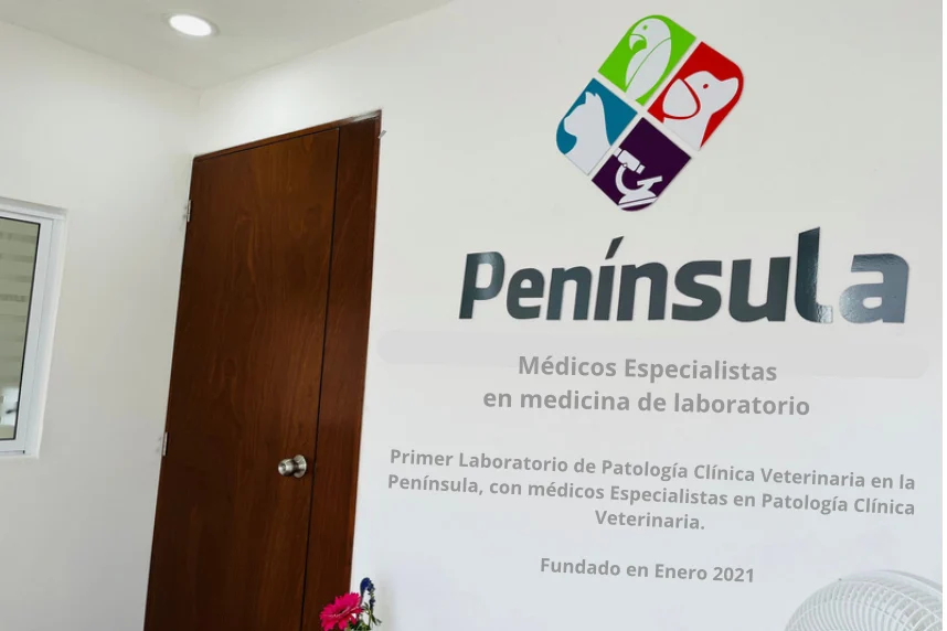 Muro de recepción del Laboratorio Península con el logotipo y la leyenda Médicos Especialistas en medicina de laboratorio